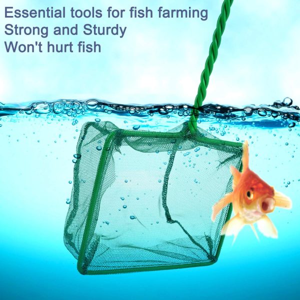 2 Pack Aquarium Fish Nets, DSSPORT 4 Inch Small Mesh Fish Catch Nets with Plastic Handle Green (Pine Green)